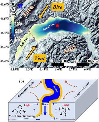 Frontiers | The role of submesoscale filaments in restratification